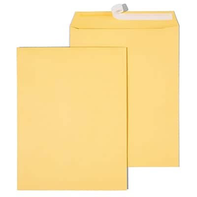 Staples - EasyClose Kraft Catalog Envelopes, 10"L x 13"H, 250/Box - Brown Staples - EasyClose Kraft Catalog Envelopes, 10"L x 13"H, 250/Box - Brown