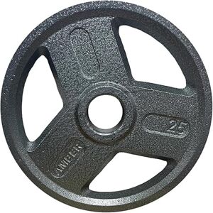 Amber Sporting Goods - Tri-Grip Cast Iron Weight Plates for Strength Training, Rust Resistant, Ideal for Squats & Lifts, 25 lb Pair - Black Amber Sporting Goods - Tri-Grip Cast Iron Weight Plates for Strength Training, Rust Resistant, Ideal for Squats & Lifts, 25 lb Pair - Black