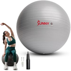 Sunny Health & Fitness - Premium Yoga Ball - Extra Small - Light White Sunny Health & Fitness - Premium Yoga Ball - Extra Small - Light White