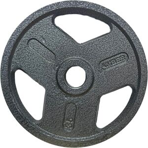 Amber Sporting Goods - Tri-Grip Cast Iron Weight Plates for Strength Training, Rust Resistant, Ideal for Squats & Lifts, 35 lb Pair - Black Amber Sporting Goods - Tri-Grip Cast Iron Weight Plates for Strength Training, Rust Resistant, Ideal for Squats & Lifts, 35 lb Pair - Black