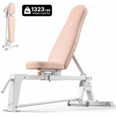 MERACH - P14 Foldabl Weight Dumbbell Bench for HomeGym with 1100 LBS,5 Back & 2 Seat Positions Adjustable - Pink MERACH - P14 Foldabl Weight Dumbbell Bench for HomeGym with 1100 LBS,5 Back & 2 Seat Positions Adjustable - Pink
