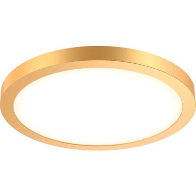 DALS Lighting Delta 1-Light Outdoor Ceiling Light in Gold DALS Lighting Delta 1-Light Outdoor Ceiling Light in Gold