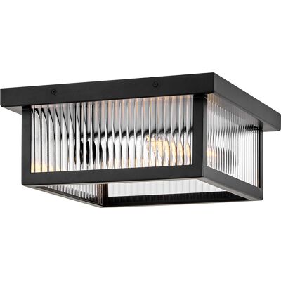 Hinkley Torrent 2-Light Outdoor Ceiling Light in Black Hinkley Torrent 2-Light Outdoor Ceiling Light in Black