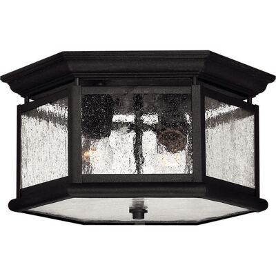 Hinkley Edgewater Outdoor Ceiling Light in Black Hinkley Edgewater Outdoor Ceiling Light in Black