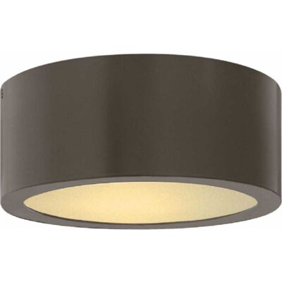 Hinkley Luna 1 Outdoor Ceiling Light in Bronze Hinkley Luna 1 Outdoor Ceiling Light in Bronze