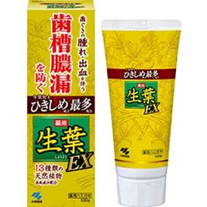 1098672851 Kiribai - Fresh Leaf EX Toothpaste 100g