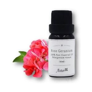 1094897685 Aster Aroma - Rose Geranium 100% Pure Essential Oil 10ml