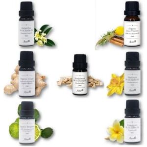1092331173 Aster Aroma - Essential Oil