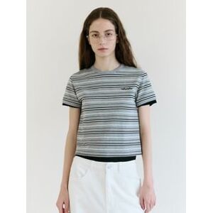 Stripe Crop T-Shirt (Gray & Black)