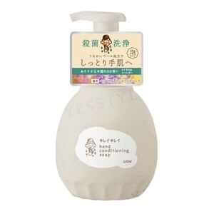 LION - Kirei Kirei Hand Conditioning Soap 450ml