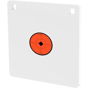 Birchwood Casey AR500 Gong