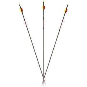 Rio Carbon Express Predator SD 350 12-pack Shafts, 51168