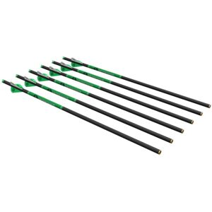 Crosman CP400 Carbon Arrows, 6 Pack, AXCCA20TPK