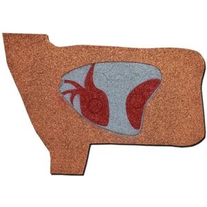 Oncore Targets Deer Vitals Self-Healing Archery Target, Brown/White/Grey/Red, Medium, D9