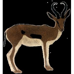 Oncore Targets Springbok Self-Healing Archery Target, Brown/white, Large, SF-5