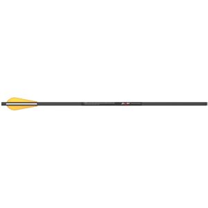 Slash Arrows Carbon Target Bolt 22 in, Black, Pack of 3, CB3ARR22