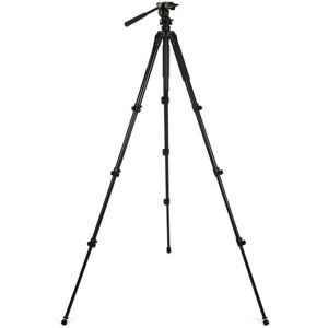 Celestron Regal Premium Adjustable Aluminum Tripod, Black 82052