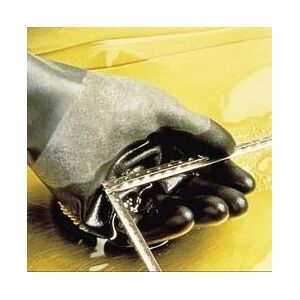 North Safety Products/Haus Glove Butyl 17MIL Smth SZ10 Pr B174/10