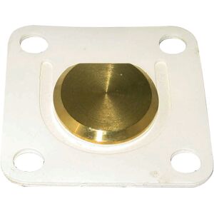 Raritan Valve Assembly f/PHII & PHEII Flapper, 1228CW