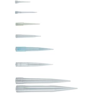 Labnet 300 pipette tips, bulk pack of 1000, 10 packs per case