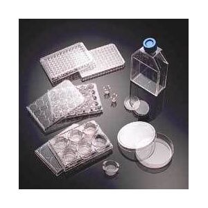 Corning BioCoat Cellware, Collagen Type IV, 354430 Multiwell Plates 24-Well