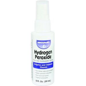 North Safety Products/Haus Hydrogen Peroxide Spray Pump 032205, Each