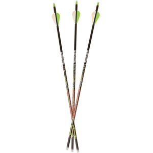 Rio Carbon Express Adrenaline 350, 6pk Arrows, Black, 50888