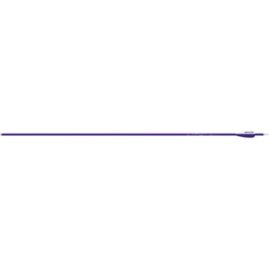 Easton Genesis Arrows 1002181
