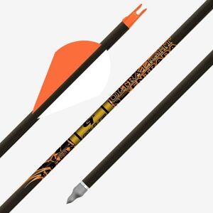 Gold Tip Ultralight Entrada, 500 2 inch Raptor Vanes, 1dz, ULTENT500A2