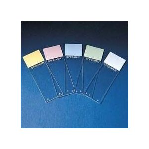 Erie Scientific Colorfrost Plus Microscope Slides, Erie Scientific 7951PLUS, Pack of 144