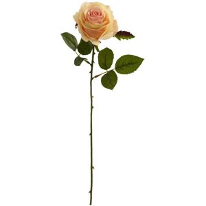 HomeStock Gothic Glamour Artificial Flowers 20 Inch - Set of 6 Elegant Home Decor Stems - Peach - 18 Peach 18 HomeStock Gothic Glamour Artificial Flowers 20 Inch - Set of 6 Elegant Home Decor Stems - Peach - 18 Peach 18