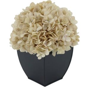 House of Silk Flowers Faux Hydrangea in Black Tapered Zinc Cube Antique Ecru 10.0 In. L X 10.0 In. W X 11.0 In. H House of Silk Flowers Faux Hydrangea in Black Tapered Zinc Cube Antique Ecru 10.0 In. L X 10.0 In. W X 11.0 In. H