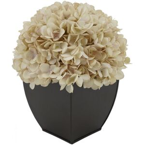 House of Silk Flowers Faux Hydrangea in Matte Brown Tapered Zinc Cube Antique Ecru 10.0 In. L X 10.0 In. W X 11.0 In. H House of Silk Flowers Faux Hydrangea in Matte Brown Tapered Zinc Cube Antique Ecru 10.0 In. L X 10.0 In. W X 11.0 In. H