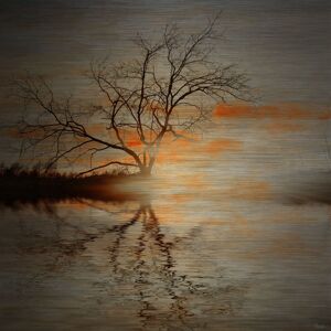 Parvez Taj 'Red Leafs B' Painting Print on Brushed Aluminum Brown 24 x 24 Parvez Taj 'Red Leafs B' Painting Print on Brushed Aluminum Brown 24 x 24