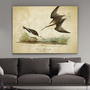 Wexford Home 'Aviary Plate XXII' Canvas Wall Art 32 x 48 Wexford Home 'Aviary Plate XXII' Canvas Wall Art 32 x 48