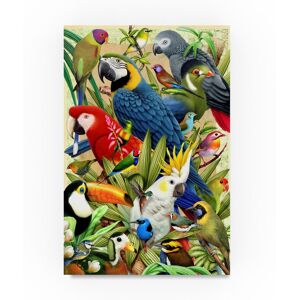 Trademark Fine Art Howard Robinson 'Tropical Colorful Birds' Canvas Art Medium,Large,Small Trademark Fine Art Howard Robinson 'Tropical Colorful Birds' Canvas Art Medium,Large,Small