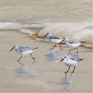 Fine Art canvas Masterpiece Art Gallery Sandpiper Beach I Amber By Studio Arts Canvas Art Print - Multi-color 24x24 Fine Art canvas Masterpiece Art Gallery Sandpiper Beach I Amber By Studio Arts Canvas Art Print - Multi-color 24x24