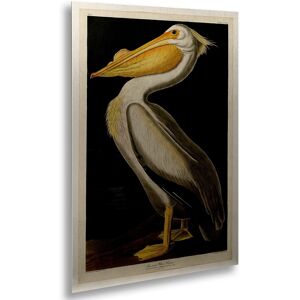 Trademark Fine Art John James Audubon 'American White Pelican' Floating Brushed Aluminum Art 1.0 In. X 16.0 In. X 22.0 In. Trademark Fine Art John James Audubon 'American White Pelican' Floating Brushed Aluminum Art 1.0 In. X 16.0 In. X 22.0 In.