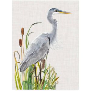 Trademark Fine Art Naomi Mccavitt Water Birds And Cattails I Canvas Art 18x24 Trademark Fine Art Naomi Mccavitt Water Birds And Cattails I Canvas Art 18x24