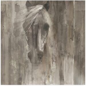 Trademark Fine Art Albena Hristova 'Shadow Light Gray Horse' Canvas 35X35 Trademark Fine Art Albena Hristova 'Shadow Light Gray Horse' Canvas 35X35