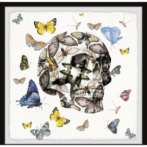 Parvez Taj 'Butterfly Skull Escape' Framed Painting Print Multi 24 x 24 Parvez Taj 'Butterfly Skull Escape' Framed Painting Print Multi 24 x 24