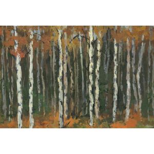 Parvez Taj 'Autumn Forest' Painting Print on Wrapped Canvas Multi 24 x 16 Parvez Taj 'Autumn Forest' Painting Print on Wrapped Canvas Multi 24 x 16