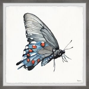 Parvez Taj 'Dotted Butterfly' Framed Painting Print Multi 12 x 12 Parvez Taj 'Dotted Butterfly' Framed Painting Print Multi 12 x 12