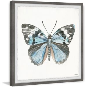 Parvez Taj 'Ocean Blue Shade Butterfly' Framed Painting Print Multi 24 x 24 Parvez Taj 'Ocean Blue Shade Butterfly' Framed Painting Print Multi 24 x 24