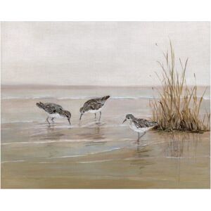 Fine Art canvas Sea Birds Early Risers II by Sally Swatland Wrapped Canvas Painting Art Print 16x20 Fine Art canvas Sea Birds Early Risers II by Sally Swatland Wrapped Canvas Painting Art Print 16x20