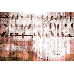 Parvez Taj 'Birds Chillin' ' Canvas Art Print Brown 18 x 12 Parvez Taj 'Birds Chillin' ' Canvas Art Print Brown 18 x 12