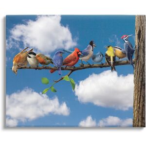 Stupell Various Birds on Branch Canvas Wall Art Design by Vincent Hie Multi 40 x 30 Stupell Various Birds on Branch Canvas Wall Art Design by Vincent Hie Multi 40 x 30