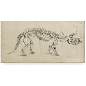 Trademark Fine Art Ethan Harper 'Dinosaur Study Ii' Canvas Art Multi 12 x 24 Trademark Fine Art Ethan Harper 'Dinosaur Study Ii' Canvas Art Multi 12 x 24