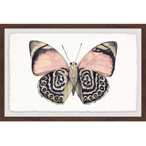 HomeStock Artsy Pink and Black Wings Framed Wall Art, Elegant Home Touch - Sophisticated Artwork for Refined Décor Multi 36 x 24 HomeStock Artsy Pink and Black Wings Framed Wall Art, Elegant Home Touch - Sophisticated Artwork for Refined Décor Multi 36 x 24