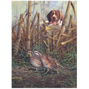 Trademark Fine Art R.J. McDonald 'Living on the Edge' Canvas Art Grey 18 x 24 Trademark Fine Art R.J. McDonald 'Living on the Edge' Canvas Art Grey 18 x 24